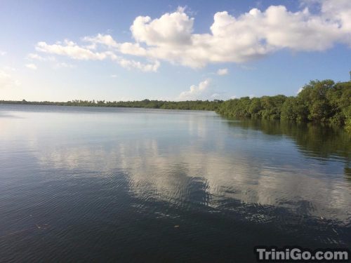 Buccoo Reef & Buccoo Lagoon - Attraction, Pigeon Point, Tobago ...